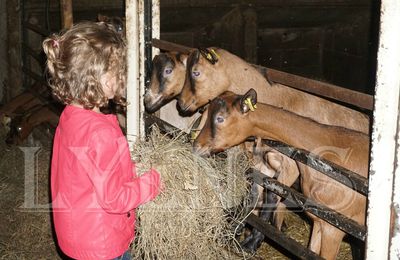 Petit tour à la ferme