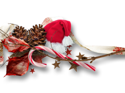 visite du parc blanc....