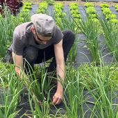 "C'est une première en Bretagne" : Cette ville s'offre une ferme communale bio pour nourrir la population