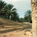 OUED, GABES