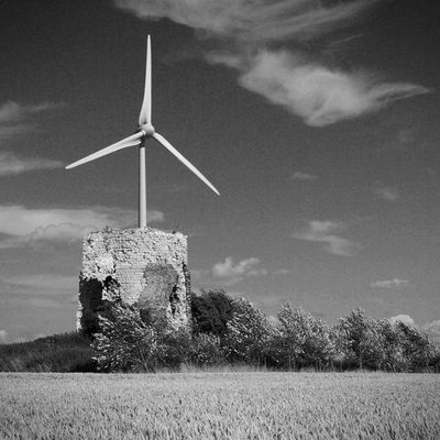 Champs d'Eole entre Bryas et Valhuon
