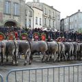 Boeuf gras à Bazas, jeudi 7 février 2013