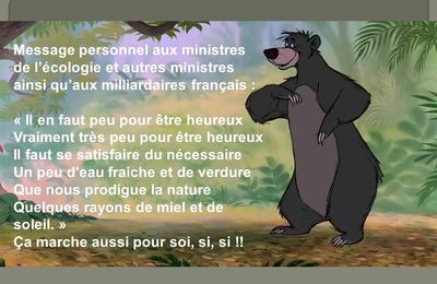 Baloo, ministre de l'écologie...