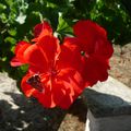 SEPTEMBRE... 