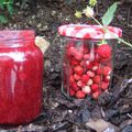 Confiture de fraises des bois à la MAP