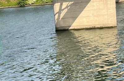 fleuve