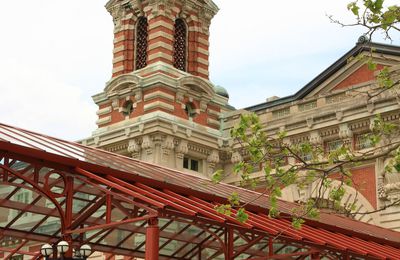 la petite irlandaise à Ellis Island