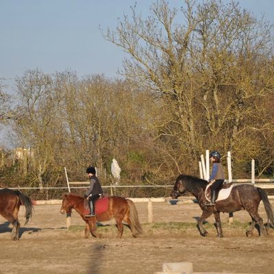 apres-midi au poney club