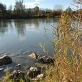 Balade au bord du Rhone