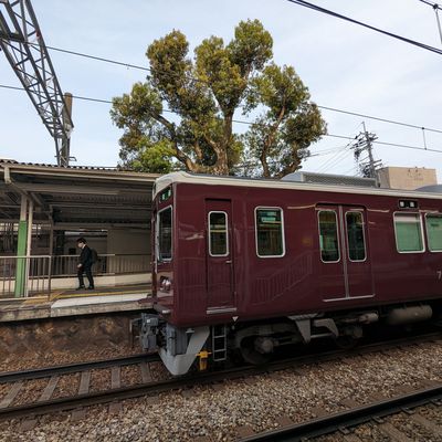 Erebos Tour 2023 - 38 : l'arbre sacré de la gare de Hattori-tenjin