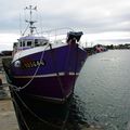 Le vieux port de Roscoff