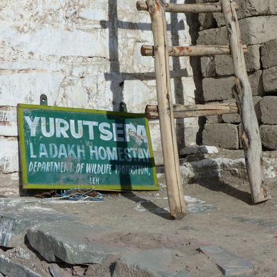 Qu'est-ce que je suis venue faire là ???