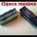 Savon "cloaca maxima"