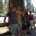 Camping and hiking in Kings Canyon National Park