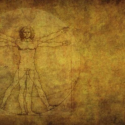 L'approche endobiogène - quand l'organisme s'autorépare