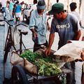 Au hasard des rues de SANTIAGO DE CUBA