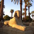 Egypte