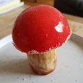 Champignon vanille et fraise (Inspiration Amaury Guichon)