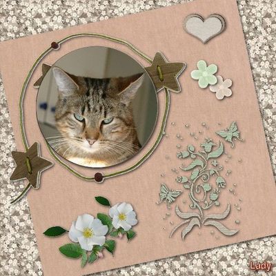 Qp offerte pour le Kit Balthazar