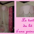 HISTOIRE DE PRINCESSE...