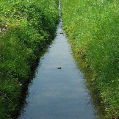 Au milieu coule une rivière