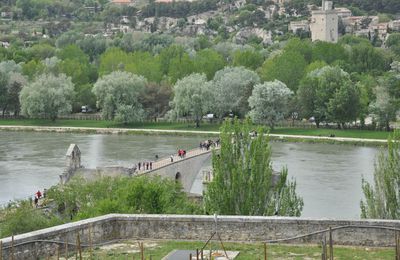 Soleil sur Avignon