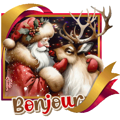 Magie de Noël suite.....