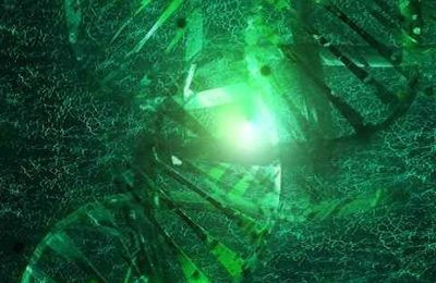  En tant qu'antenne émettrice,L'ADN est un bio-ordinateur 
