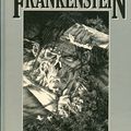 frankenstein (mary shelley/bernie wrightson albin michel 1984)