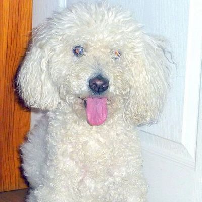 (fin des) Galeres (?)