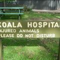 The Koala Hospital at Port Macquarie