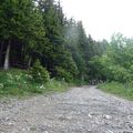 Montagne de Sous Dine- Massif des Bornes