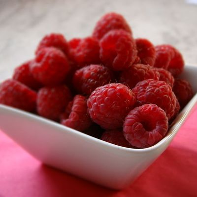 Enfin le printemps !