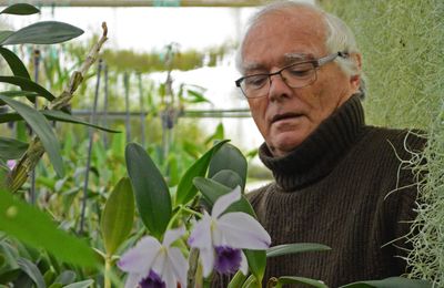 Retour sur la visite de l'Orchidium dans le Loir et Cher