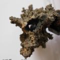 La fulgurite 