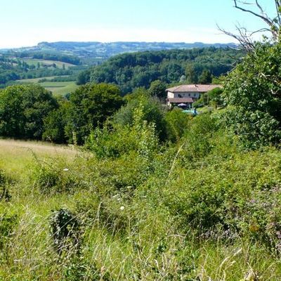 En pleine nature, en plein été.