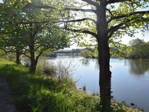 Sur les rives du Cher à Tours le 9 avril 2025