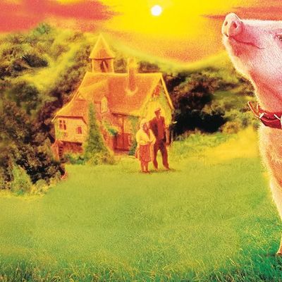 Spéciale Noël : Babe, un cochon chez George Miller