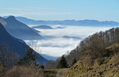 Délire de brume (2)