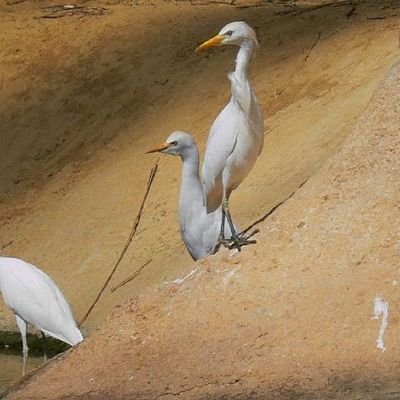 Il y avait bien une suite