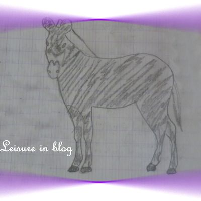 CROQUIS ZEBRE