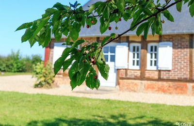 La campagne, les copines...et une cocobox !