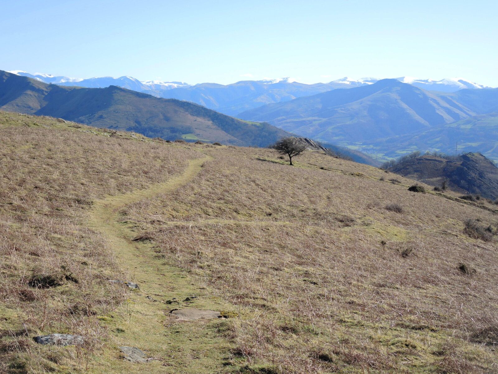 Larla, en redescendant, les Pyrénées enneigés et sentier, février 2025 (64)