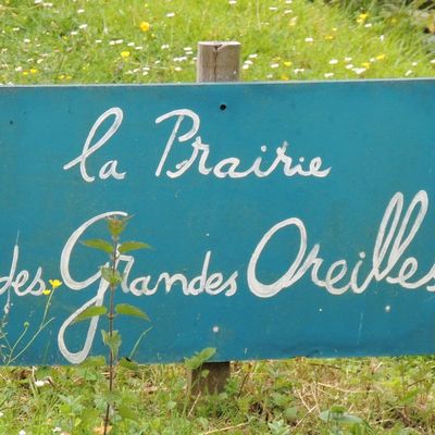 Aujourd'hui ...