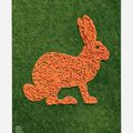 Un lapin en carottes