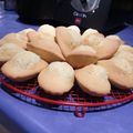 Madeleines au citron 