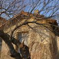 LES CABANES DE LANSARGUES