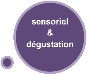 Sensoriel & Dégustation