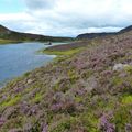 Ecosse - Randonnée à Pitlochry 2