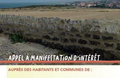 La restauration des murets de pierre à Audresselles
